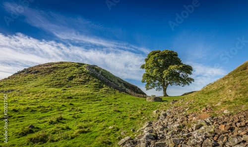 Sycamore Gap on Hadrian's Wall, County of Northumberland, England