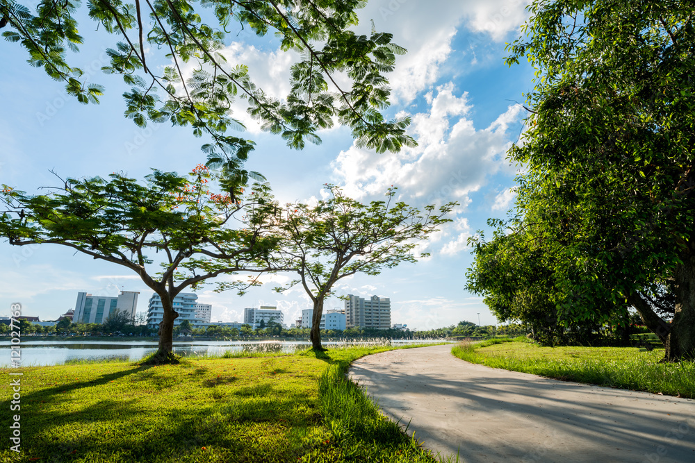 Landscape in city park with lake on sunset background