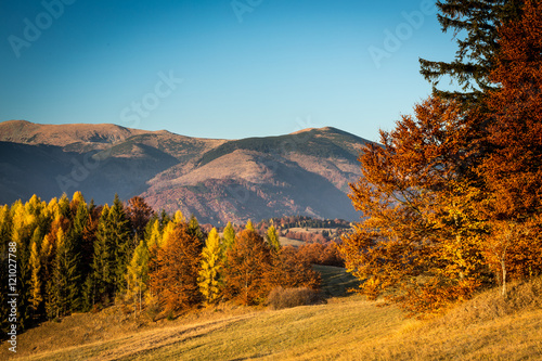 Autumn colors on the slovak mountain Nizke Tatry