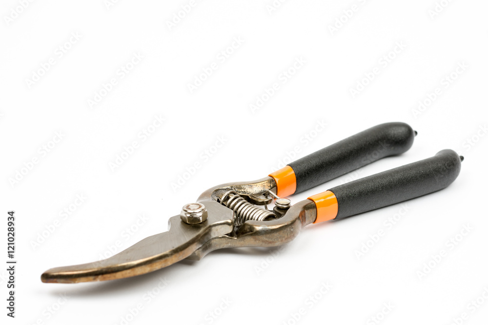 Obraz premium Garden pruner over white background