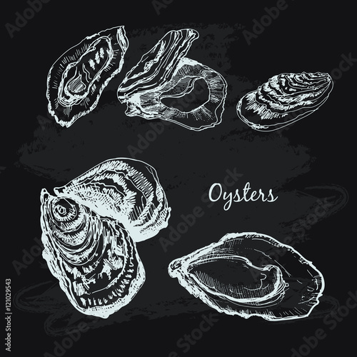 Oysters