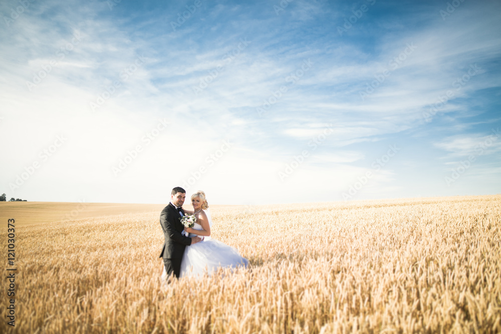 Elegant stylish happy blonde bride and gorgeous groom posing in wheat field on the background blue sky Elegant stylish happy blonde bride and gorgeous groom posing in wheat field on the background blue sky