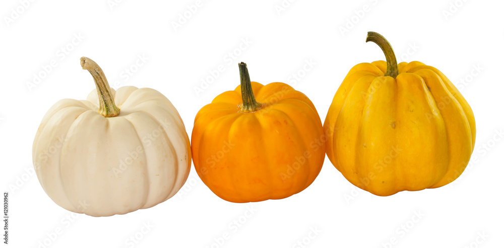 Three Little pumpkin for chinese new year on white background Three Little pumpkin for chinese new year on white background