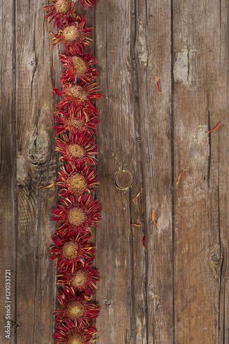 Fototapeta Naklejka Na Ścianę i Meble -  Small dried flowers