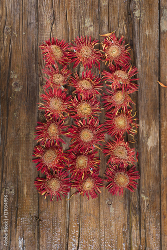 Fototapeta Naklejka Na Ścianę i Meble -  Small dried flowers