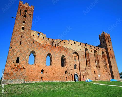 Castle in Radzyn Chelminski photo
