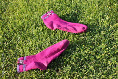 Pair of pink woman socks on the mown lawn in the summer garden