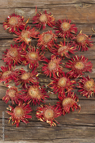 Fototapeta Naklejka Na Ścianę i Meble -  Small dried flowers