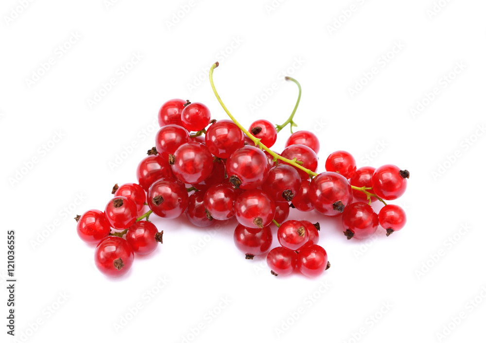 Fresh red currant isolated on white background Fresh red currant isolated on white background