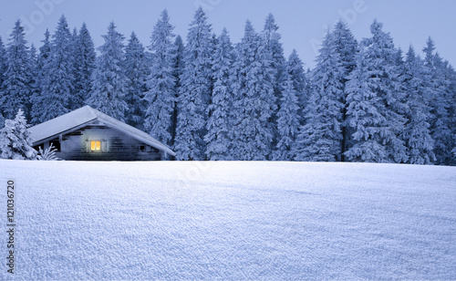 Schihütte im Wald