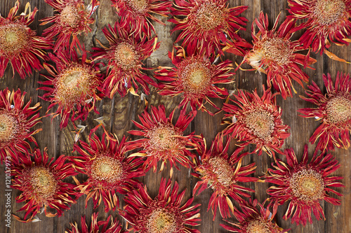 Fototapeta Naklejka Na Ścianę i Meble -  Small dried flowers