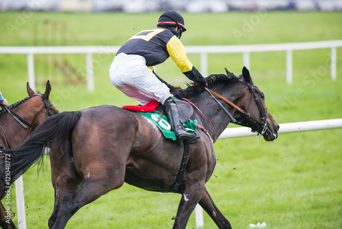 racehorse and jockey galloping 