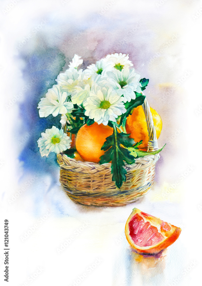 Naklejka premium Watercolor painting. Still life of oranges and white daisies in a basket on a white background.