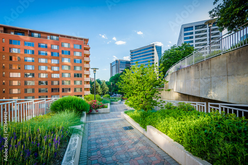 Gardens along a walkway at Freedom Park and modern buildings in photo