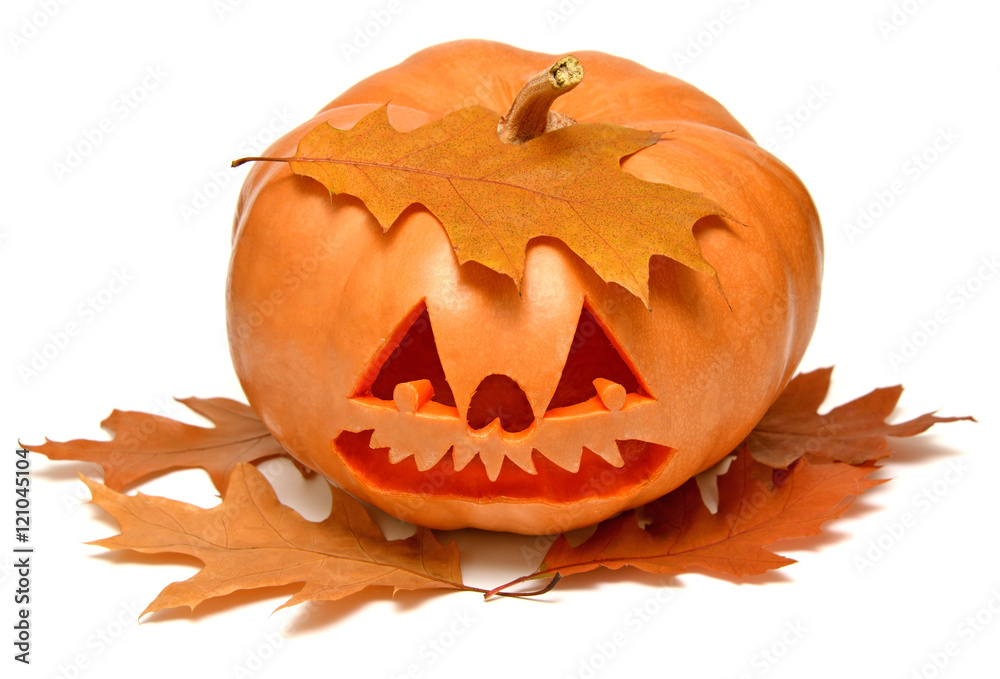 Fototapeta premium Halloween Pumpkin with oak leaves isolated on a white background