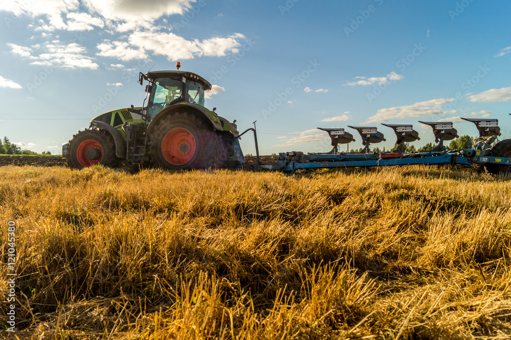 Fototapeta premium Agriculture plowing tractor on wheat cereal fields