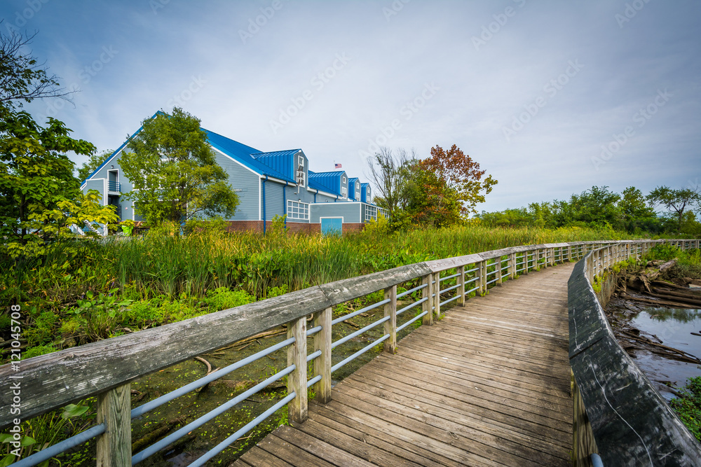 Boardwalk trail in a wetland, at Rivergate City Park, in Alexand