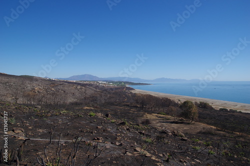 Verbrannte Küste in Andalusien