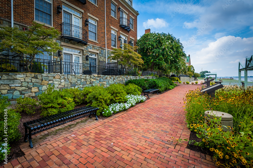 Garden and apartment buildings on the Potomac River waterfront i