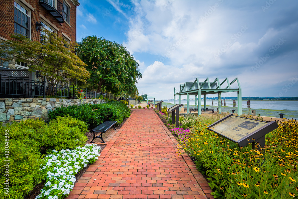 Fototapeta premium Gardens and apartment building along the Potomac River waterfron