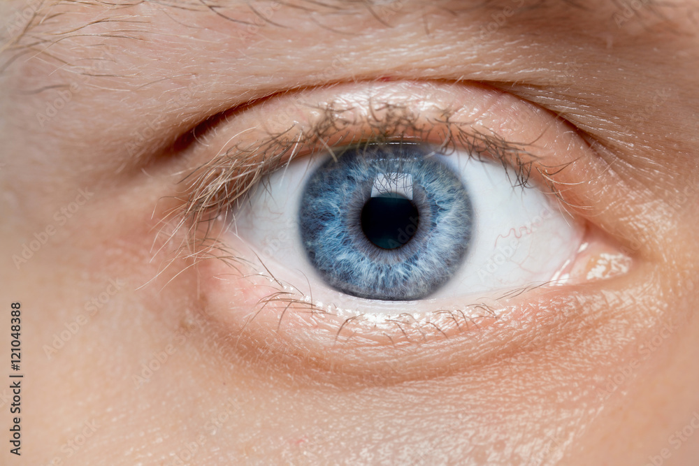 Fototapeta premium blue young man eye macro