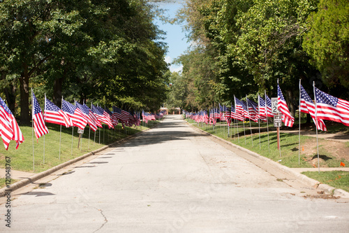 Flag Lined Street