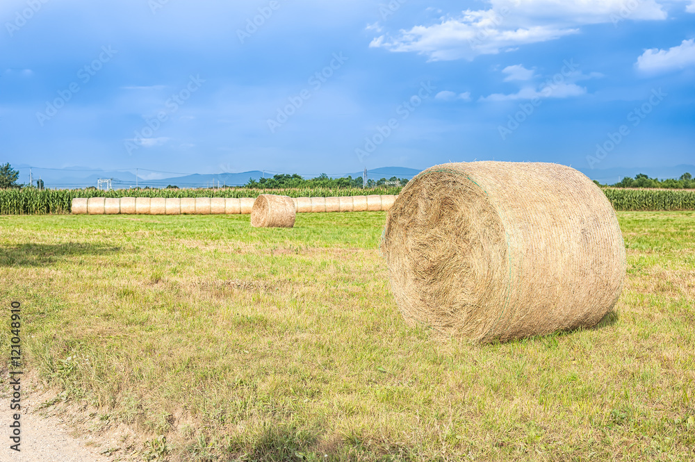Agricultural landscape with hay bales.