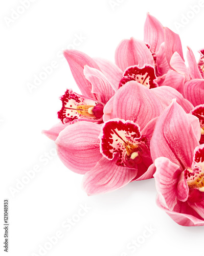 Fototapeta Naklejka Na Ścianę i Meble -  Orchid flowers isolated on white background