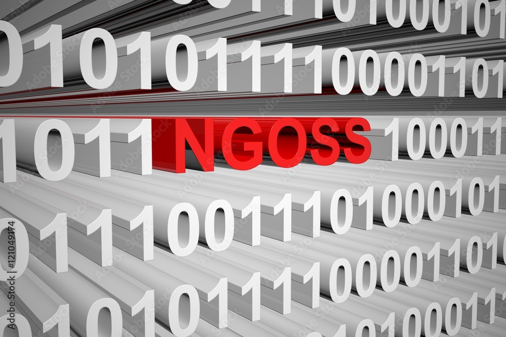 NGOSS in the form of binary code, 3D illustration