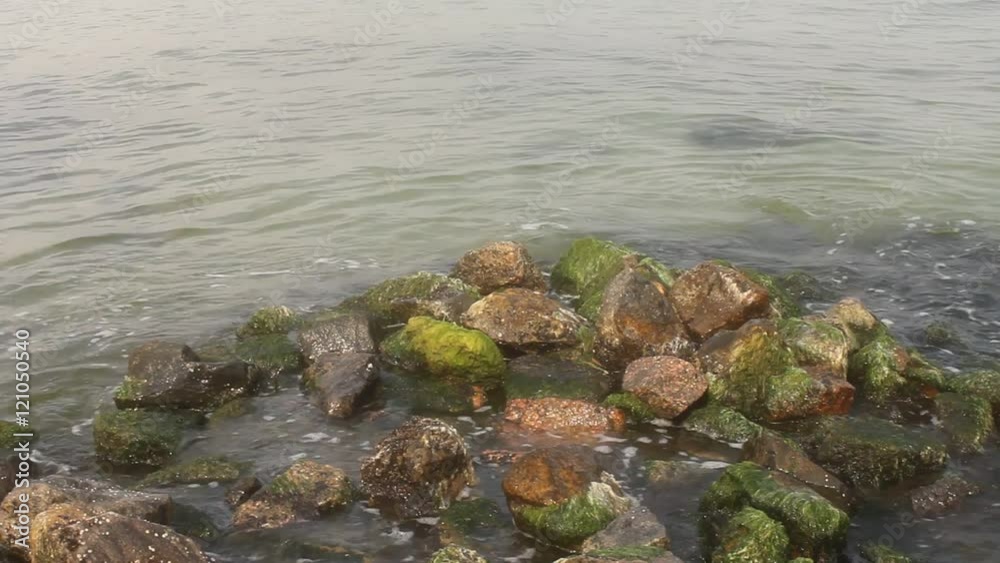 Sea, stones, moss Sea, stones, moss