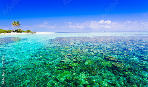 Maldives, tropical sea background 2!
