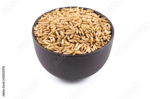 bowl of organic oat grains