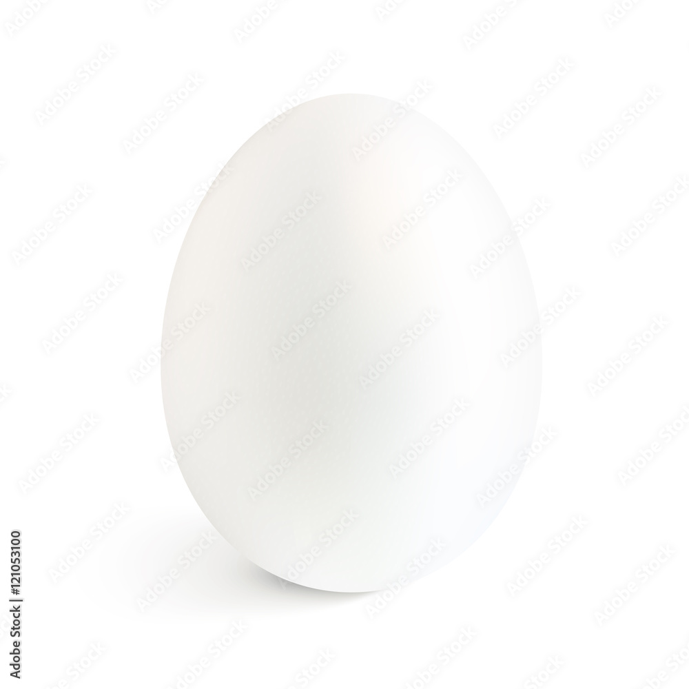 White isolated vector realistic egg with shadow White isolated vector realistic egg with shadow