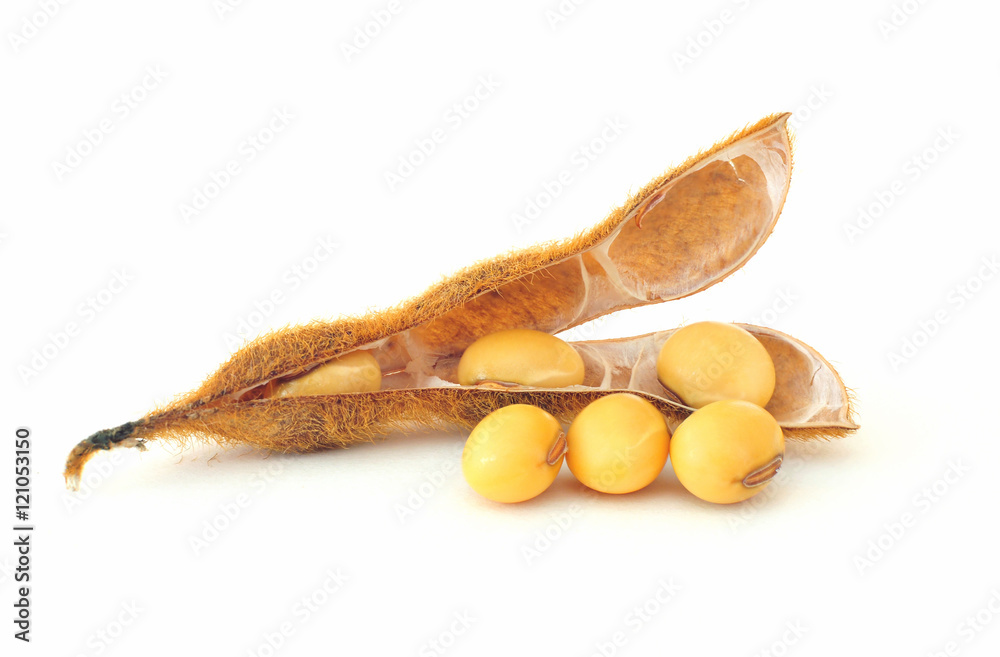 Soybean seeds on white background Stock Photo | Adobe Stock