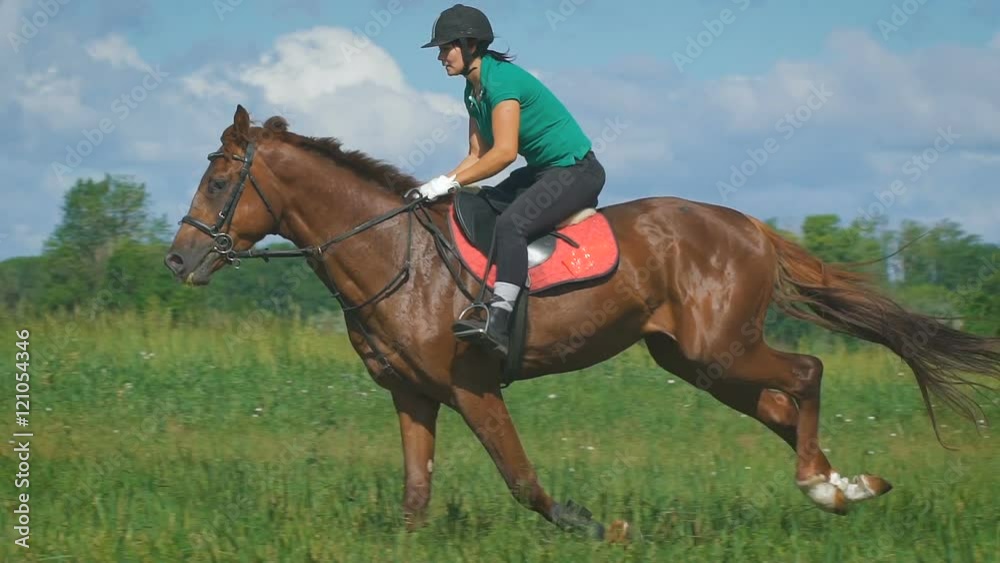 Beautiful girl riding a horse in countryside. Beautiful girl riding a horse in countryside.