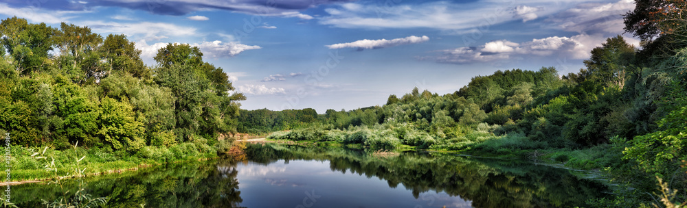 Summer landscape