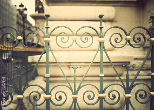 Vintage bronze fences in Paris