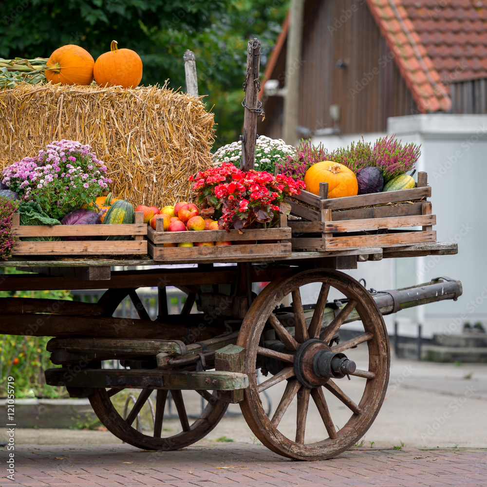 Erntewagen beim Erntefest gefüllt mit Stroh, Kürbis, Blumen und Äpfeln