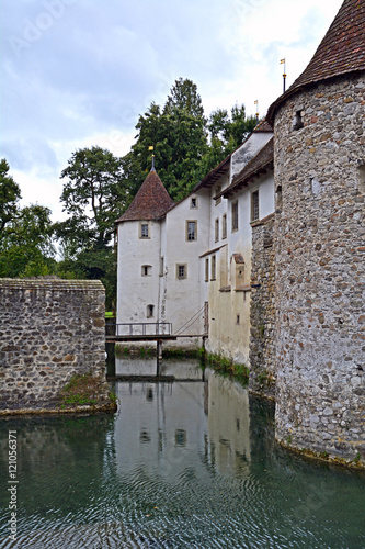 Schloss Hallwyl, Kanton Aargau photo