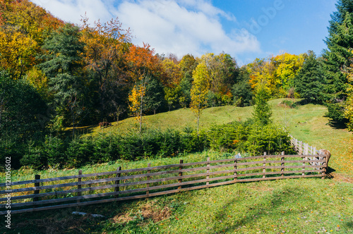 Autumn pasture and tree nursery