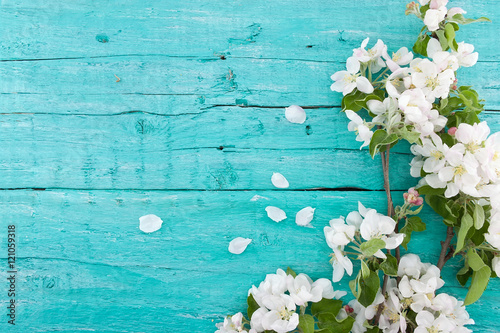 Spring apple tree blossom on turquoise rustic wooden background