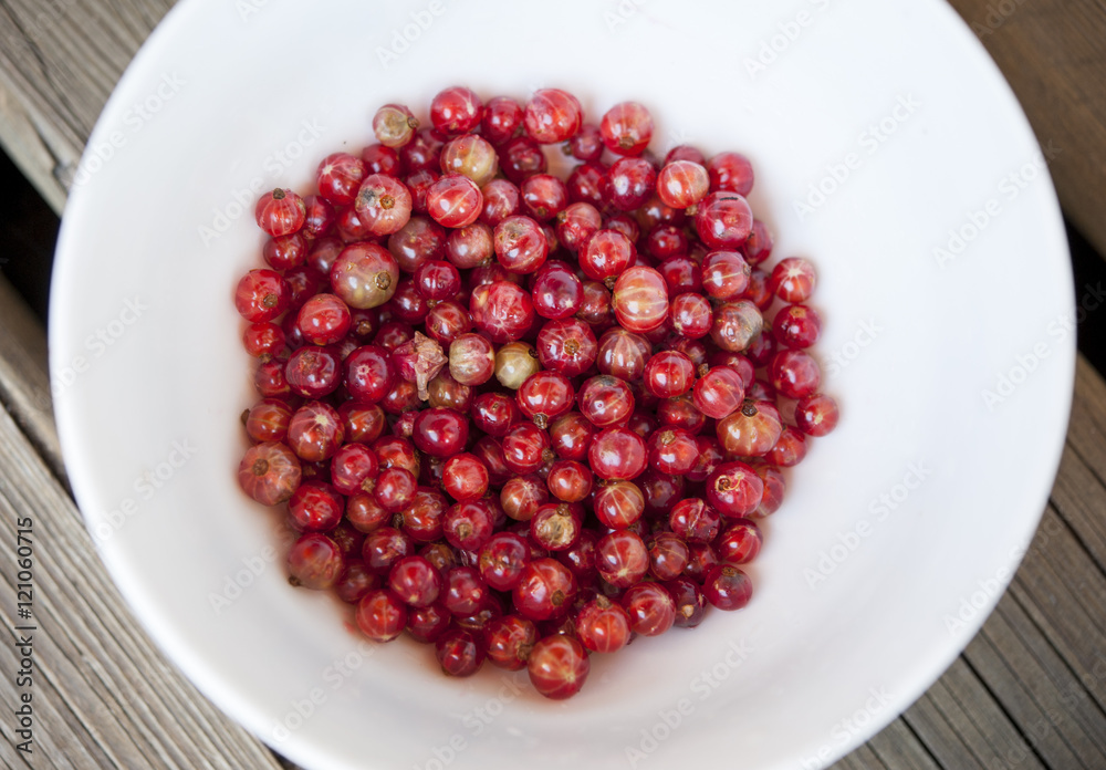 Top down view of plain white bowl full of fresh redcurrants on a wooden picnic table. Top down view of plain white bowl full of fresh redcurrants on a wooden picnic table.