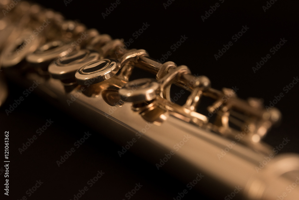 Fototapeta premium Macro de flauta.