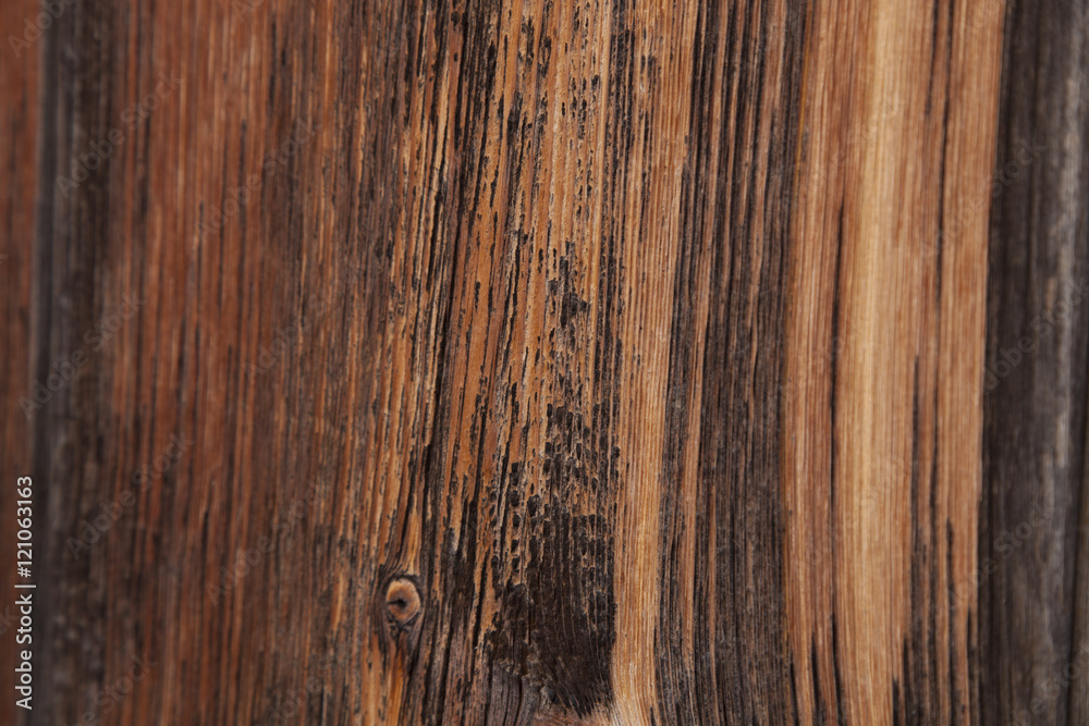 wood texture background
wood texture background