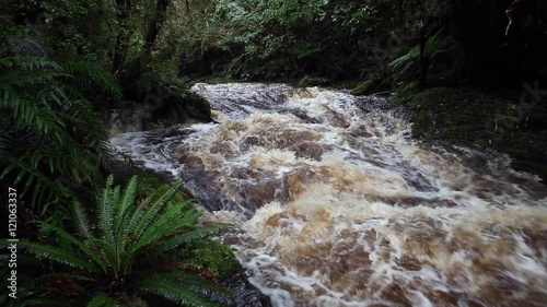 Tautuku river after heavy rainfall in the Catlins Forest Park, Southland, New Zealand