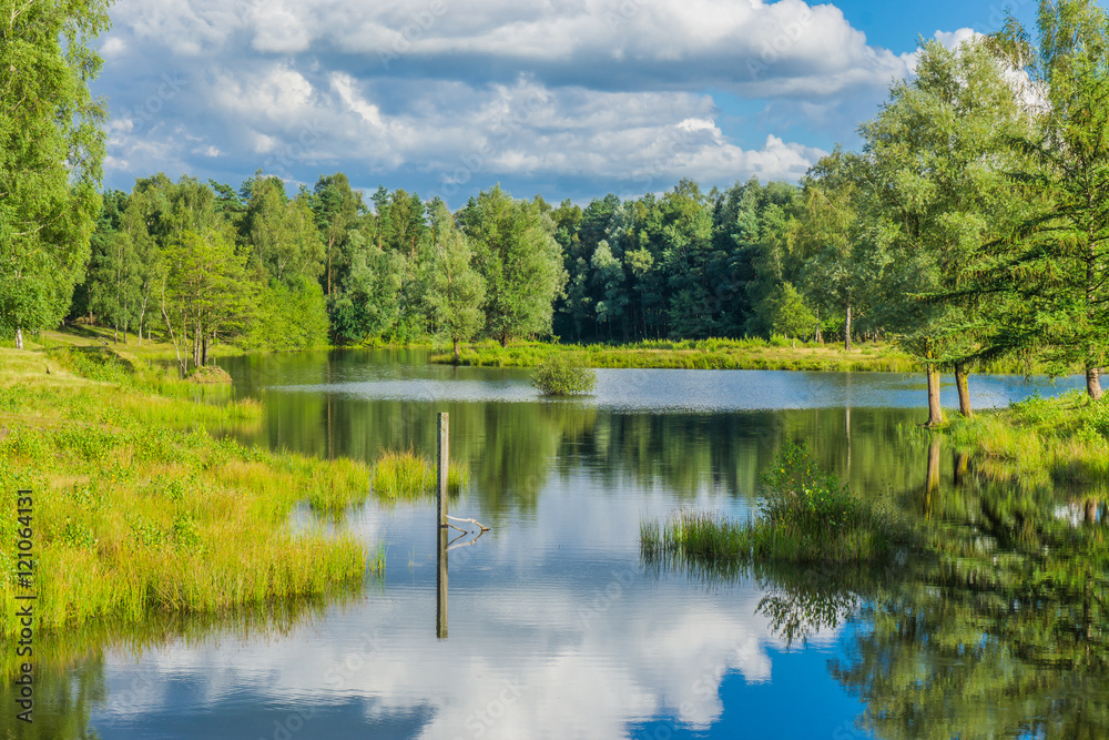 beautiful water landscape reflecting in the water in the forest beautiful water landscape reflecting in the water in the forest