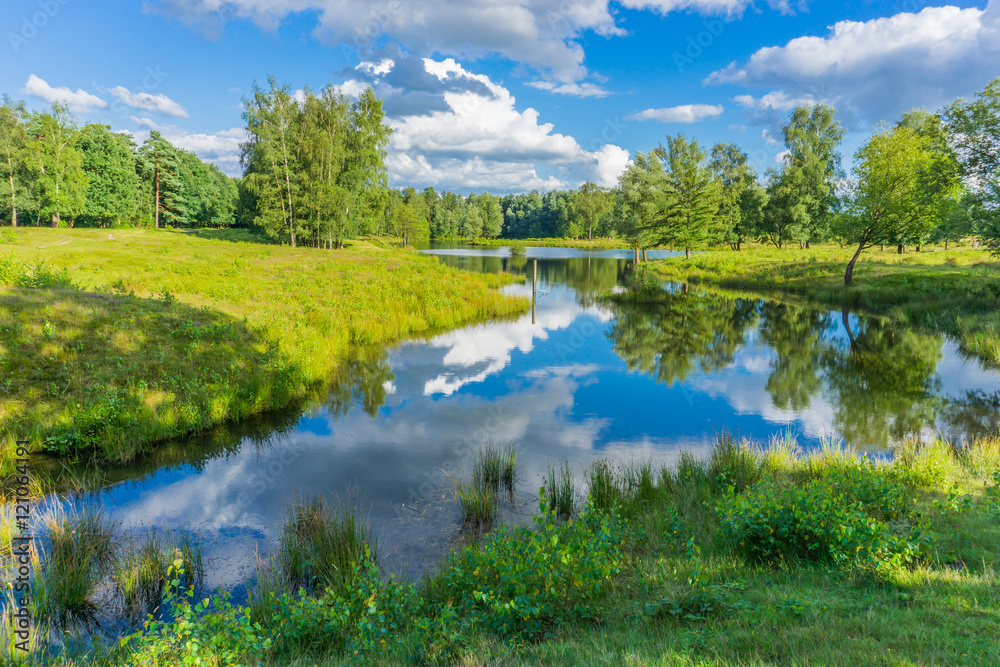 beautiful pond landscape with reflecting water