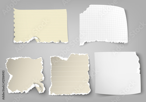 set of tear-off paper with ragged edges