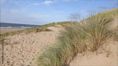 Frau jubelt am Strand