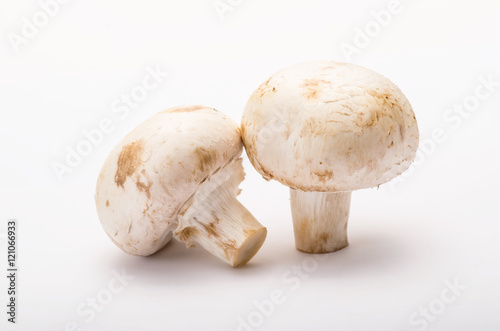 Two Champignon Mushrooms